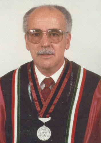 Miguel Domingues